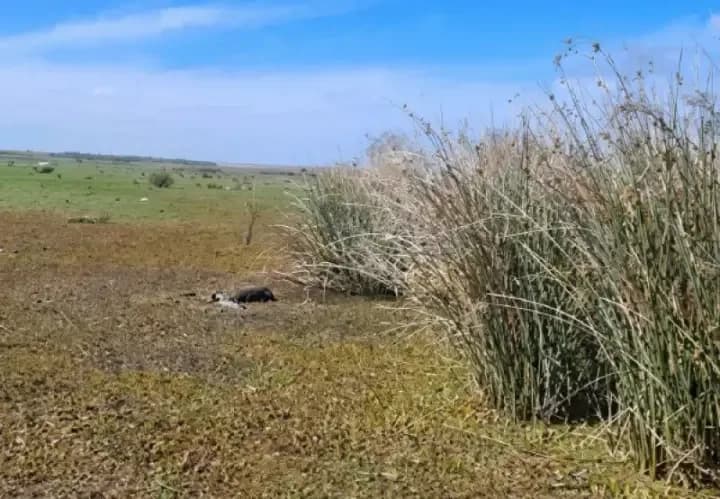 Nanci fue torturada, apuñalada,
le sacaron una foto y la mataron