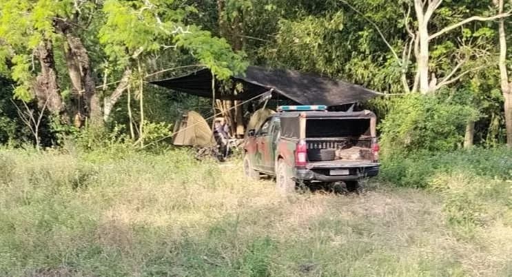Abigeato en Corrientes: denunciaron robos de ganado en un campo de Itá Ibaté