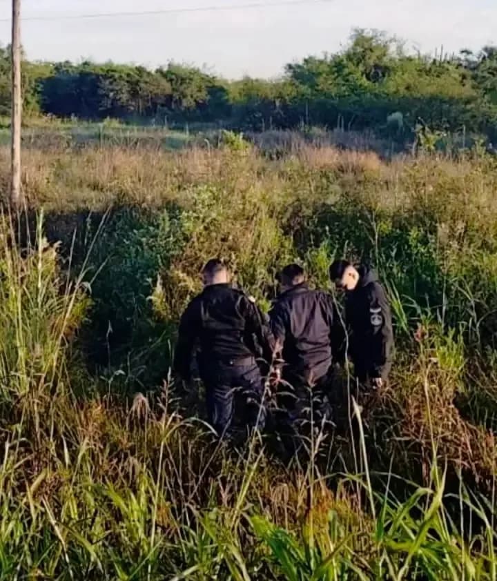 En zona de cañadas, recuperaron cajas robadas a camioneros que descansaban sobre la Ruta 118