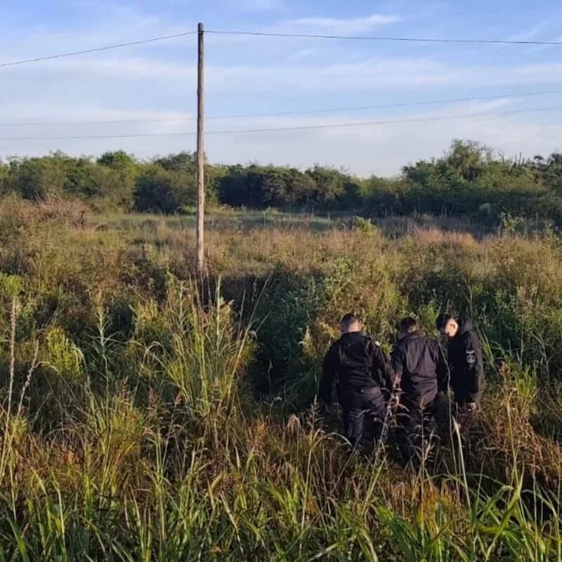 Piratas del asfalto saquearon tres camiones en la estación de servicios de Cuatro Bocas