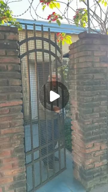 Portada de video: "Carlos está cada vez más cerca de cumplir una meta: terminar la secundaria.